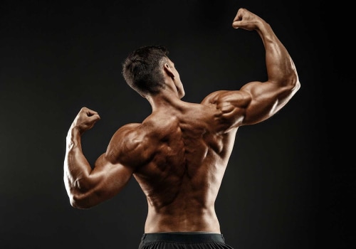 Back and Biceps Training Routine: How to Build and Define Your Muscles